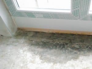 Baubegleiter Augsburg Baubegleitung 2 bodentiefe-fenster-schimmelpilz-franzoesische-fenster2 Baubegleiter Augsburg Baubegleitung