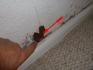 Schimmelschaden, angeschimmelt, verschimmelt, Haus,Schimmelgutachten Schimmel-gutachter Schimmelgutachten