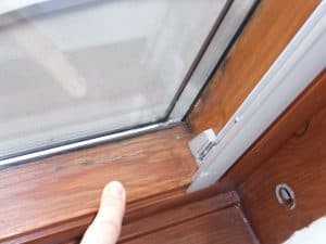 , SchimmelgutachterSchimmelwohnung profisionsfrei defektes Haus kaufen ohne Makler, aber mi Gutachter