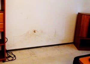 Schimmelwohnung
