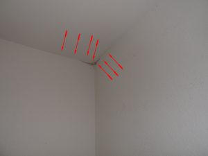 überall Schimmel in wohnung, Schimmelschaden