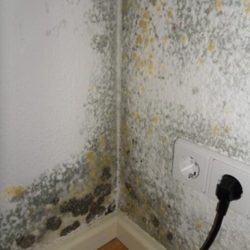 Keller abdichten Haus schaetzen