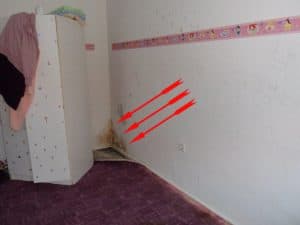 überall Schimmel wohnung