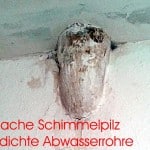 Hauptursache Schimmelpilz in Wohnungen - undichte Abwasserrohre