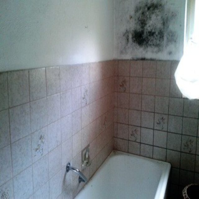 Schimmelpilzbildung durch defekte Abwasserrohre