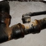 Ursache Schimmelpilz defekte Abwasserrohre