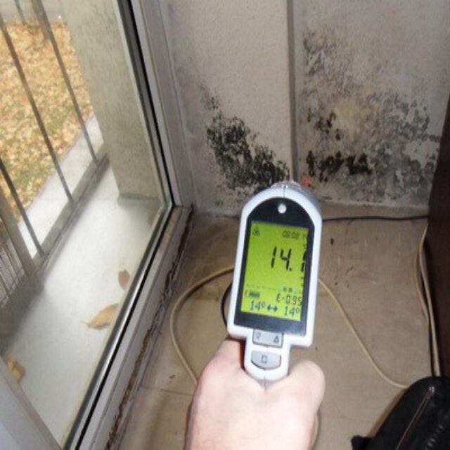 Balkon Schimmel - bodentiefe Fenster Schimmelpilz-französische Fenster laufen an