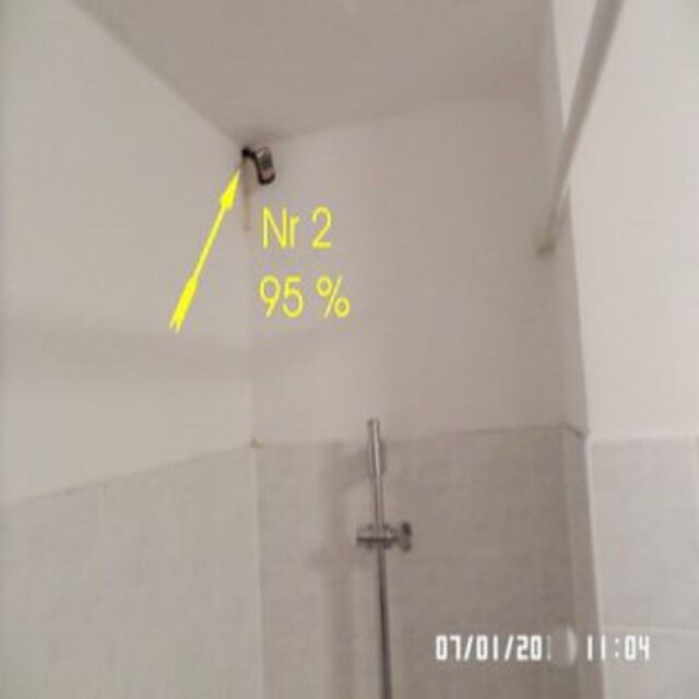 Schimmelpilzgutachter, Schimmelgutachten, Schimmel-gutachten Schimmel-gutachter , Schimmel in Wohnungen