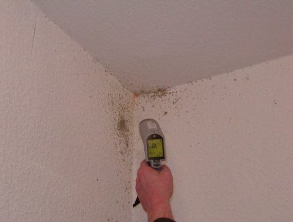 SCHIMMEL WOHNUNG - überall Schimmelbefall 6 SCHIMMEL WOHNUNG – überall Schimmelbefall