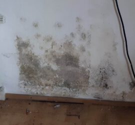 Bautrocknung Wasserschaden Modriger Geruch im Zimmer - Schimmel
