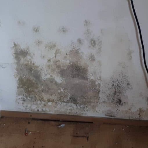 Modriger süßlicher Geruch im Haus 10 Bautrocknung Wasserschaden Modriger Geruch im Zimmer - Schimmel