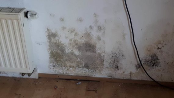 Modriger süßlicher Geruch im Haus 1 Bautrocknung Wasserschaden Modriger Geruch im Zimmer - Schimmel