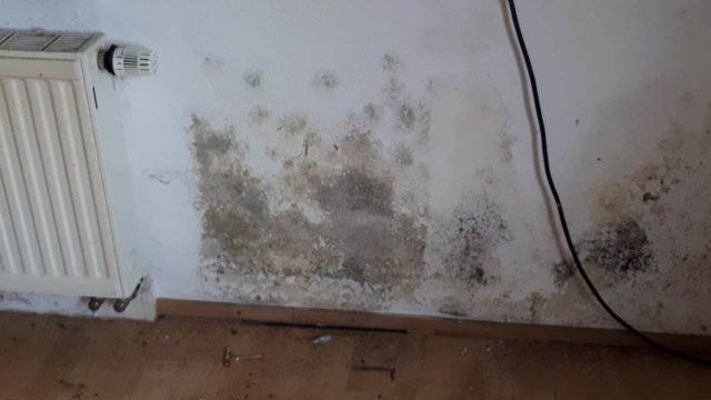 Wie Bekomme Ich Verbrannten Geruch Aus Der Wohnung modriger Geruch im Zimmer Schimmel Messung – HAUSGUTACHTER