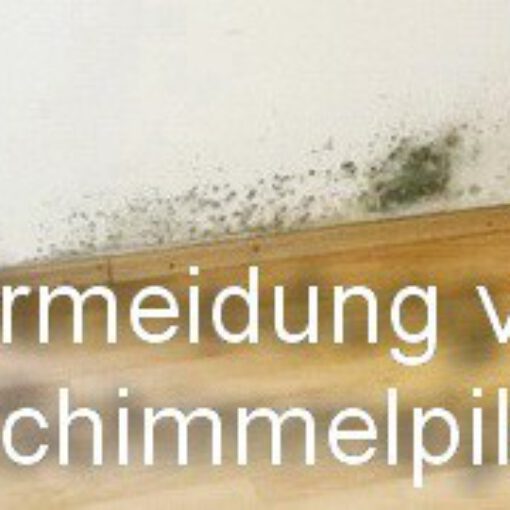 Vermeidung von Schimmelpilz in der Wohnung