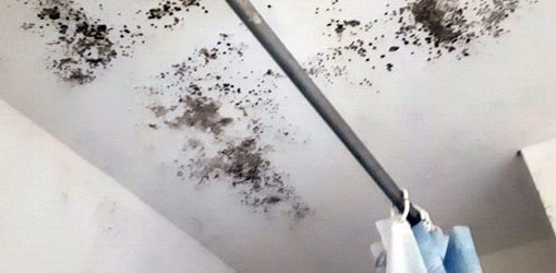 Schimmel beseitigen - günstig, selbst entfernen 25 schimmel-beseitigen-selbst-entfernen