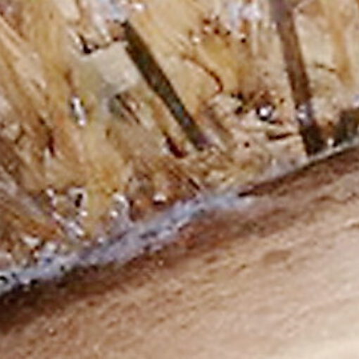 Schimmel Dachspitz, Dachbalken verschimmelt nach Einbau Estrich Dachbalken verschimmelte & Dachdämmung feucht 006