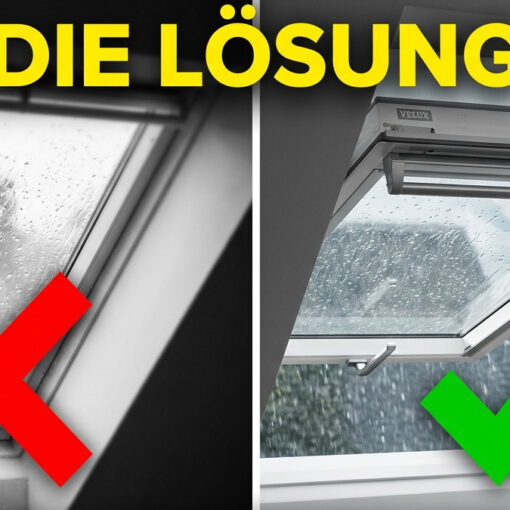 Schwarzer Schimmel Dachfenster Velux