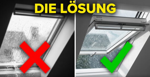Schwarzer Schimmel Dachfenster Velux