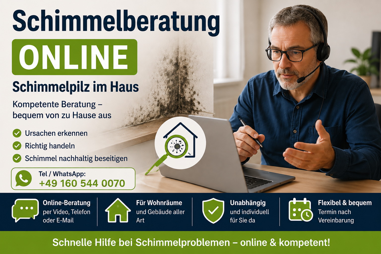 Schimmel Beratung Online Schimmelpilz im Haus Kostenlos? 2 schimmel beratung online