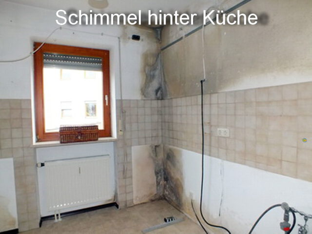 Schimmel hinter Küchenmöbel