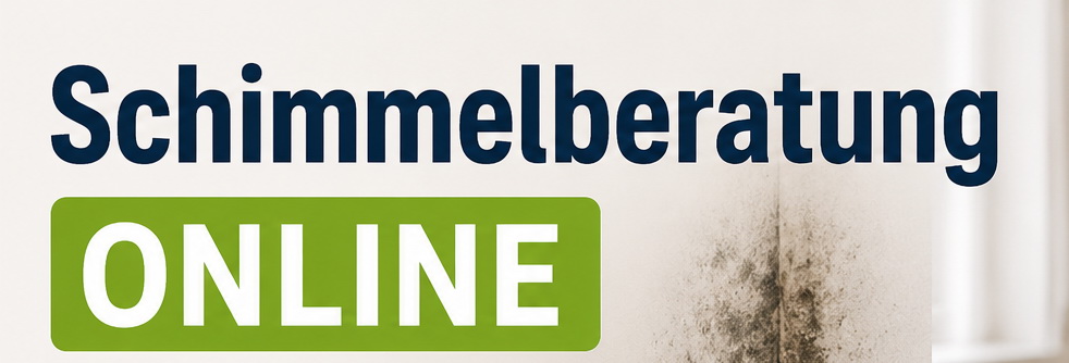 schimmel beratung online schimmelpilz