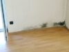 Bausachverständiger Beratung Hauskauf Haus schätzen video 143 00-mietminderung-schimmelpilz-wohnung-schimmel-6