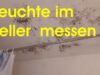 798-immobilienkaufberatung