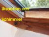 555-hauskaufberatung-tipps