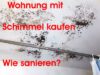 798-immobilienkaufberatung
