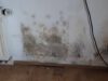 video-vorschaubild-bautrocknung-wasserschaden-komischer-erdiger-undefinierter-modriger-geruch-im-zimmer